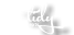 Tidy Concepts, LLC